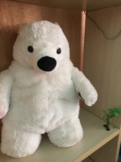 Gấu bông size 25cm cute đáng yêu