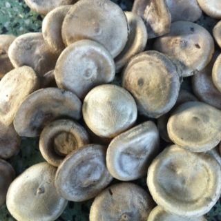 500g hạt mã tiền