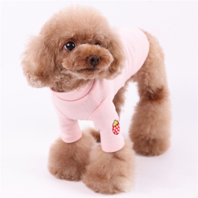 Áo Thun Cho Chó Mèo Màu Pastel Hoạ Tiết Dễ Thương Mẫu Quần Áo Cho Thú Cưng Thời Trang Giá Rẻ Mùa Thu Đông Amun Pet