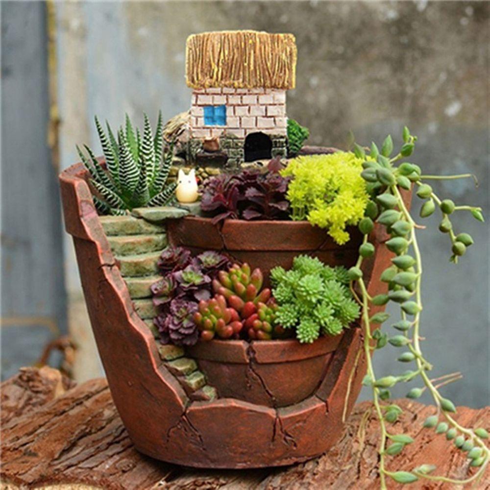 1 Chậu Cây Bonsai Trang Trí Nhà Cửa / Văn Phòng