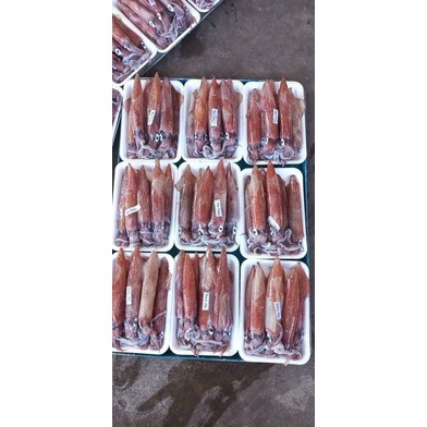 Mực trứng nháy( CHỈ GIAO HÀ NỘI HỎA TỐC )