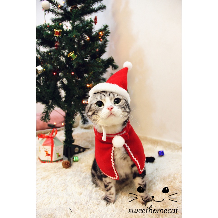 Trang Phục / Phụ Kiện Phong Cách Giáng Sinh Cho Thú Cưng