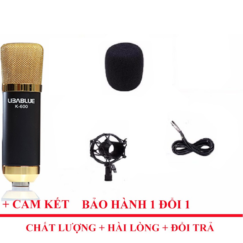COMBO MICRO THU ÂM K-600