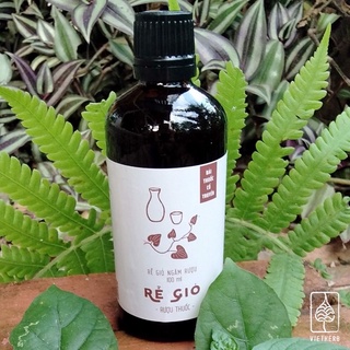RỄ GIÓ NGÂM RƯỢU VIETHERB