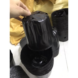 Bầu ươm cây 18*16 (147 cái/kg)