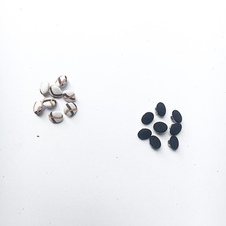 Nút bọc vải size nhỏ - Nút bọc vải khâu tây có sẵn - Phụ liệu may mặc