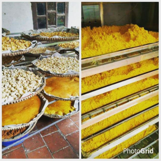 Tinh bột nghệ