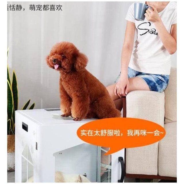 Người nổi tiếng trên Internet bán trướcPET Sấy hộp máy tóc gia đình Cat Dog Large Hair Cắt Vòi hoa sen <