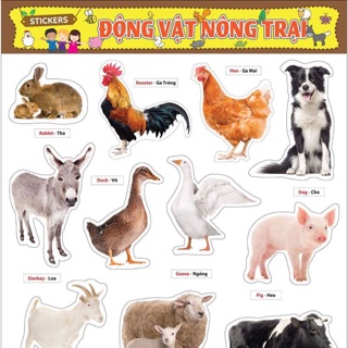 Decal dán - Động vật nông trại