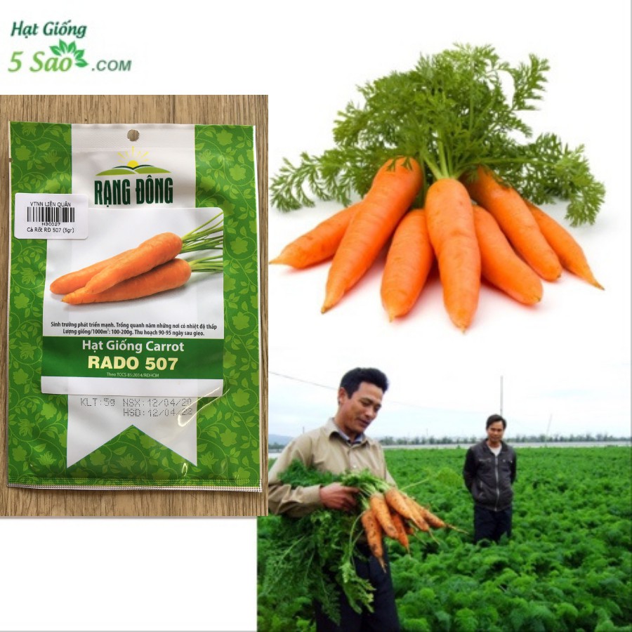 Hạt Giống Cà Rốt RaĐo 507