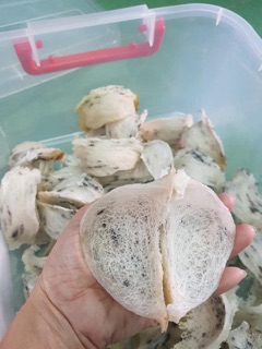 [FREESHIP 99K TOÀN QUỐC] 10gram Yến thô