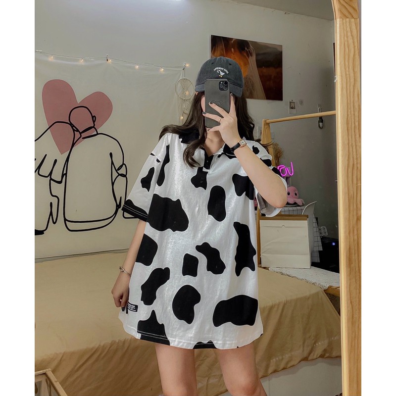 Áo polo bò sữa