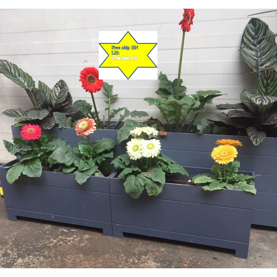 Chậu trồng cây màu ghi