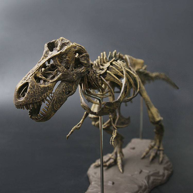 [Kadic] Mô hình Xương Khủng long T-rex