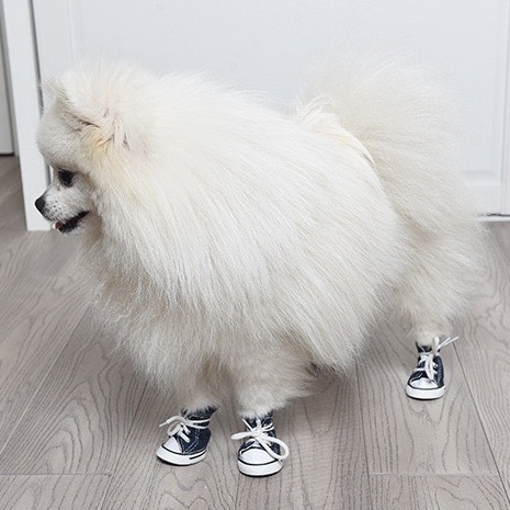 Giày cho thú cưng đế PVC chống trơn trượt kiểu dáng thể thao cá tính