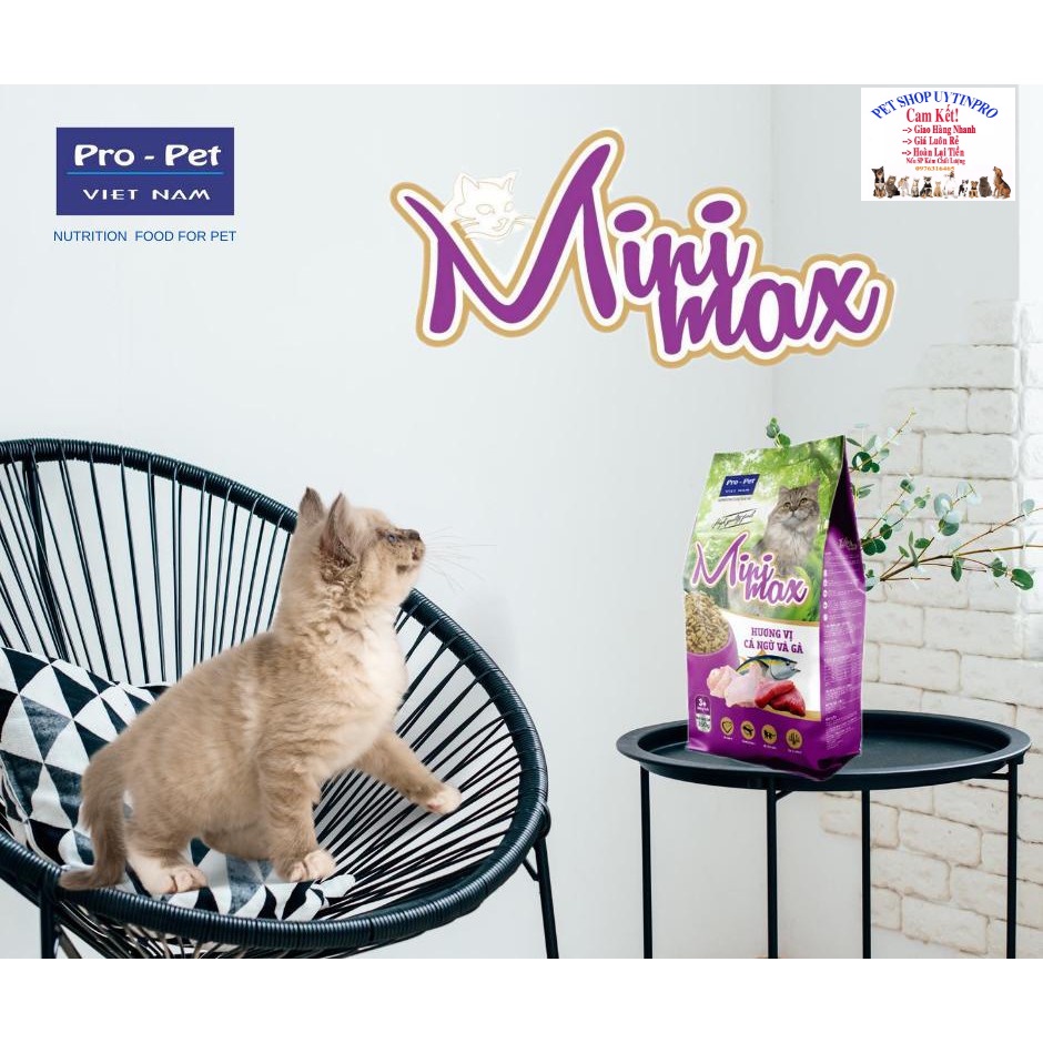 3 Gói Thức ăn hạt cao cấp cho Mèo trên 3 tháng MINIMAX Vị cá ngừ và gà Gói 350g Bổ sung Dinh dưỡng Xuất xứ Pro-Pet VN