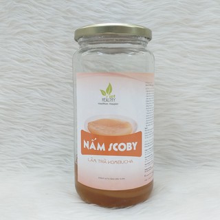 Nấm Scoby làm trà Kombucha Viethealthy