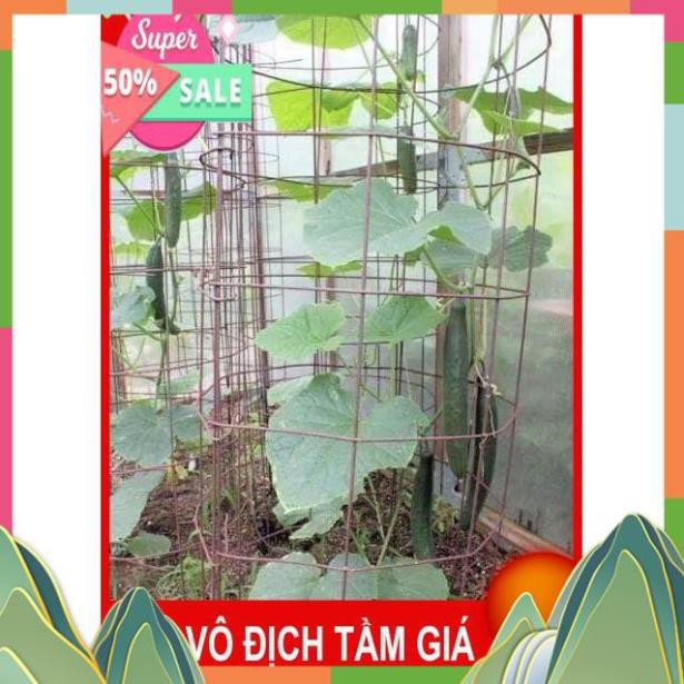 Hạt giống dưa chuột kiếm nhật🥒Đài Loan🥒 Dưa léo kiếm nhật dễ trồng sai quả(Nhập nguyên gói bao bì Đài Loan)