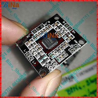 Modul Khuếch Đại Âm Thanh dùng IC PAM8610
