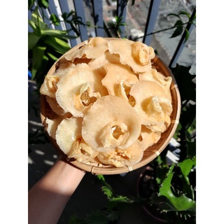 Vi đuôi nấu súp bào ngư ( Hàng Úc ) loại 1