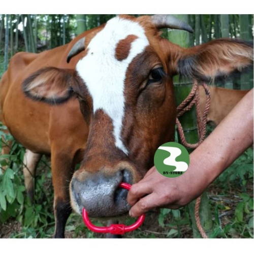 Vòng xỏ mũi bò nhựa Dương ninh có chốt VM19