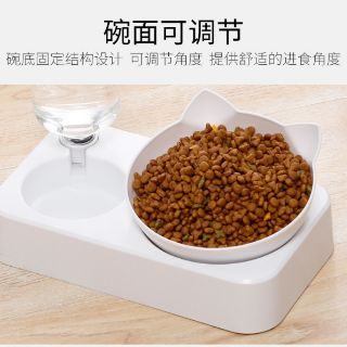 Bộ chén ăn bình nước tự động cho mèo