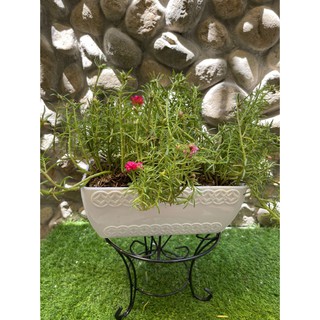 Đôn sắt, Chân Đế, Đế Lót Kê Chậu Cây Cảnh Hoa Văn cao 18cm