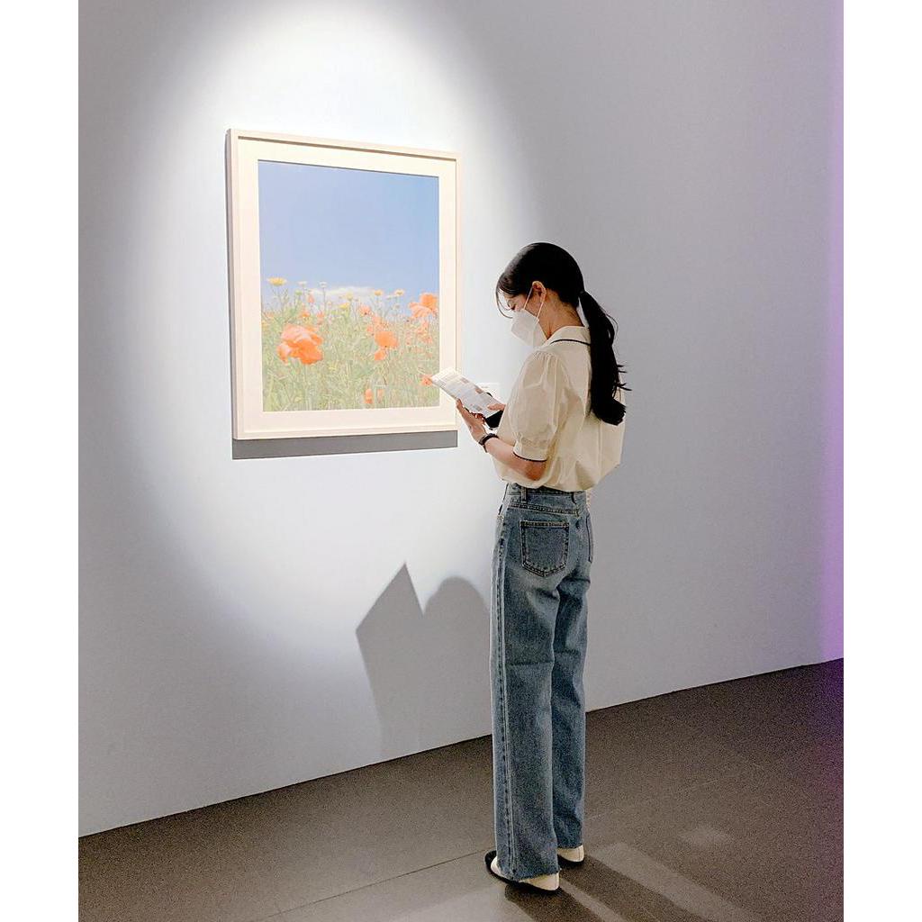 Áo Sơ Mi Cổ Mép Lật Dáng Rộng Ngắn Tay Thời Trang Sành Điệu 60665