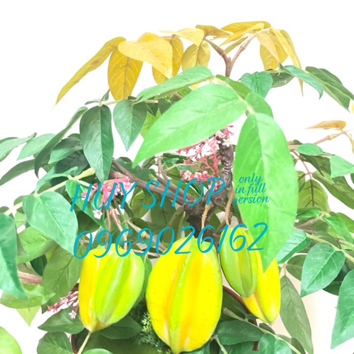 Hoa trái giả - Chậu cây trái KHẾ nhân tạo trang trí nhà