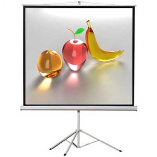 Màn chiếu 3 chân Apollo 85 inch