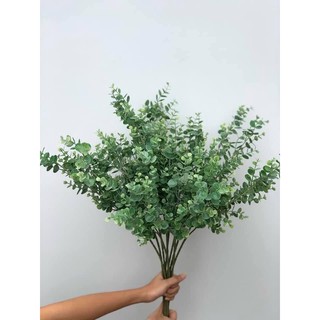 Lá táo điểm cao cấp