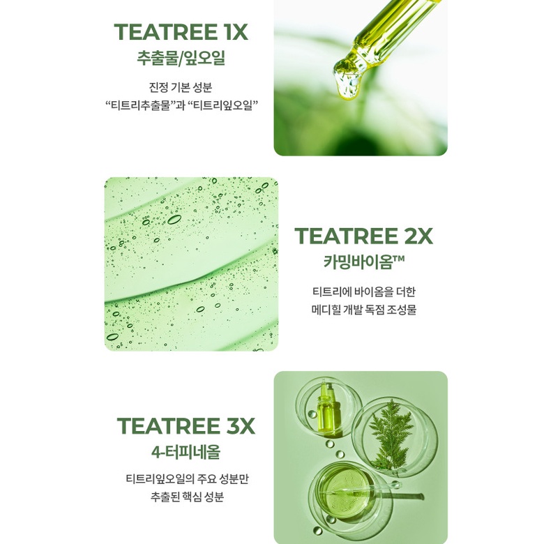 Combo 5 Mặt Nạ Giấy Làm Dịu Da, Ngừa Mụn Chiết Xuất Cây Trà MEDIHEAL Teatree Essential Mask Calming  24ml