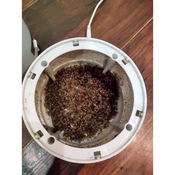 Đèn bắt muỗi, máy bắt muỗi, côn trùng bằng tia UV, Unimax hàng cao cấp chĩnh hãng Hàn Quốc, bảo hành 12 tháng