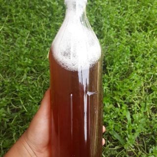 Dầu gội đầu Thảo mộc