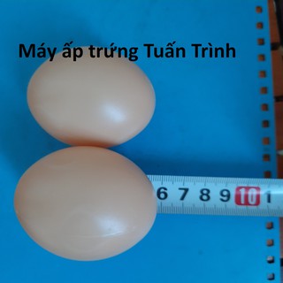 10 Trứng gà giả