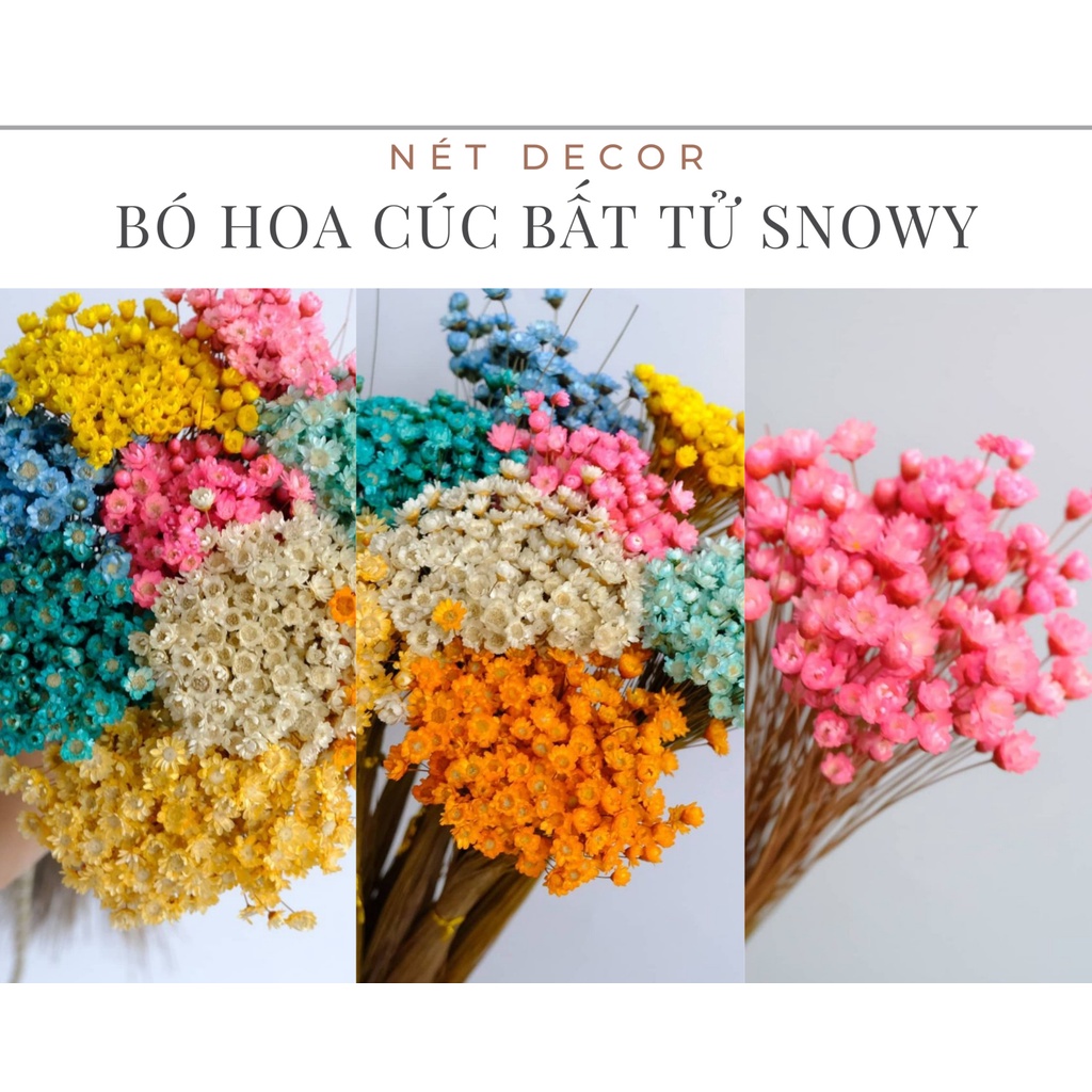 🍁Bó Hoa khô bất tử trang trí vintage🍁 Hoa khô cúc Tuyết nhiệt đới Gilxia nhỏ xinh🍁