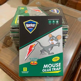 Miếng dính chuột siêu dính.ĐT.Lv