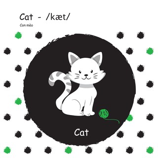 Black & White Book - Big & Little - Động Vật Lớn Nhỏ