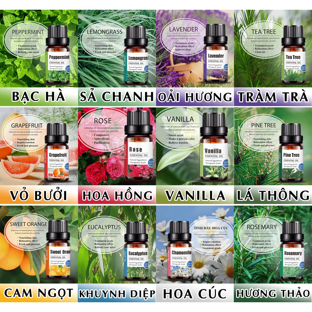 Bộ 12 Tinh Dầu Xông Phòng Các Loại 10ml 100% Thiên Nhiên Cao Cấp