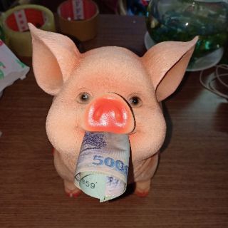 Heo Đất Tiết Kiệm