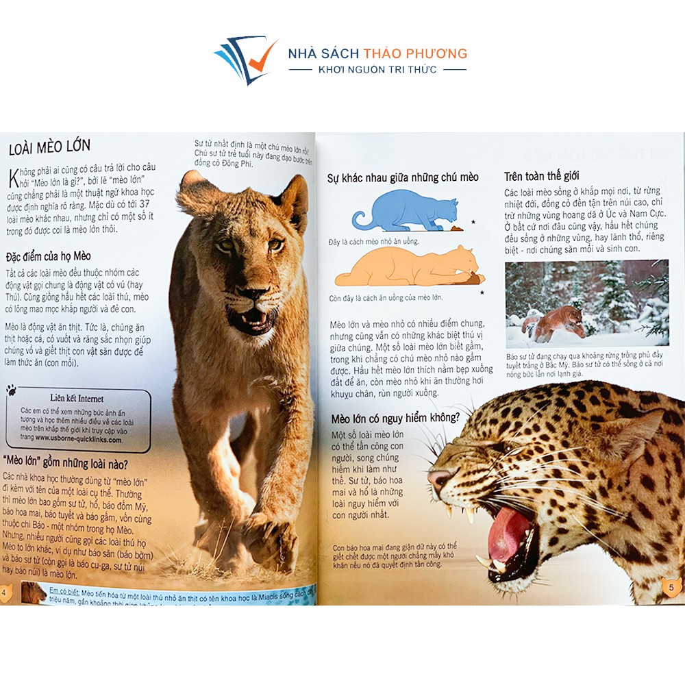 Sách - Bách khoa tri thức về khám phá thế giới cho trẻ em tìm hiểu về nhiều chủ đề