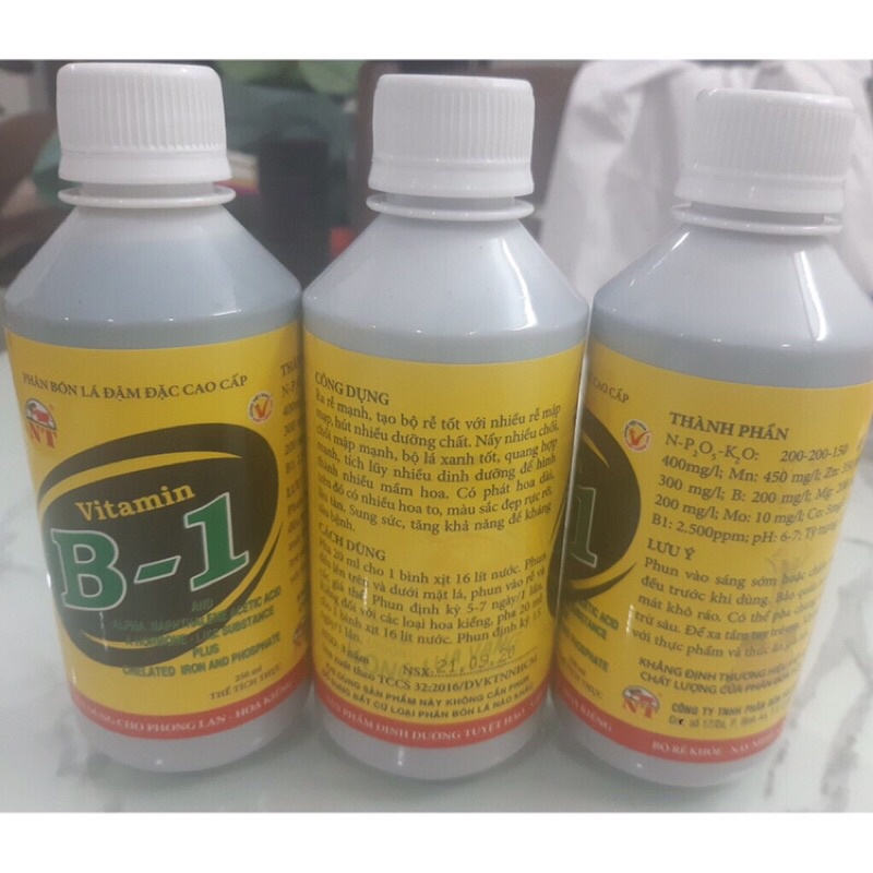 Phân bón lá cao cấp Vitamin B1 chai lớn đậm đặc