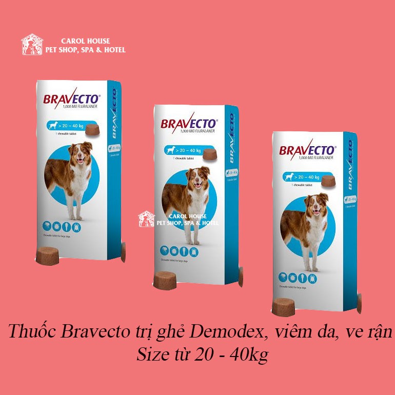 Viên nhai BRAVECTO ngăn ngừa viêm da và ghẻ DEMODEX hiệu quả - 20-40kg