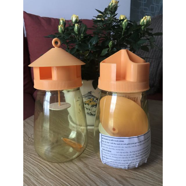 [HOT] Bộ dụng cụ bẫy ruồi vàng c/lượng, hg C/ty.