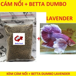 Cám betta 10g tặng betta dumbo lavender