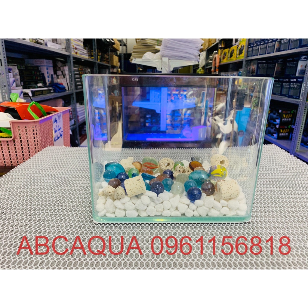 Bể cá cảnh thủy sinh size mini