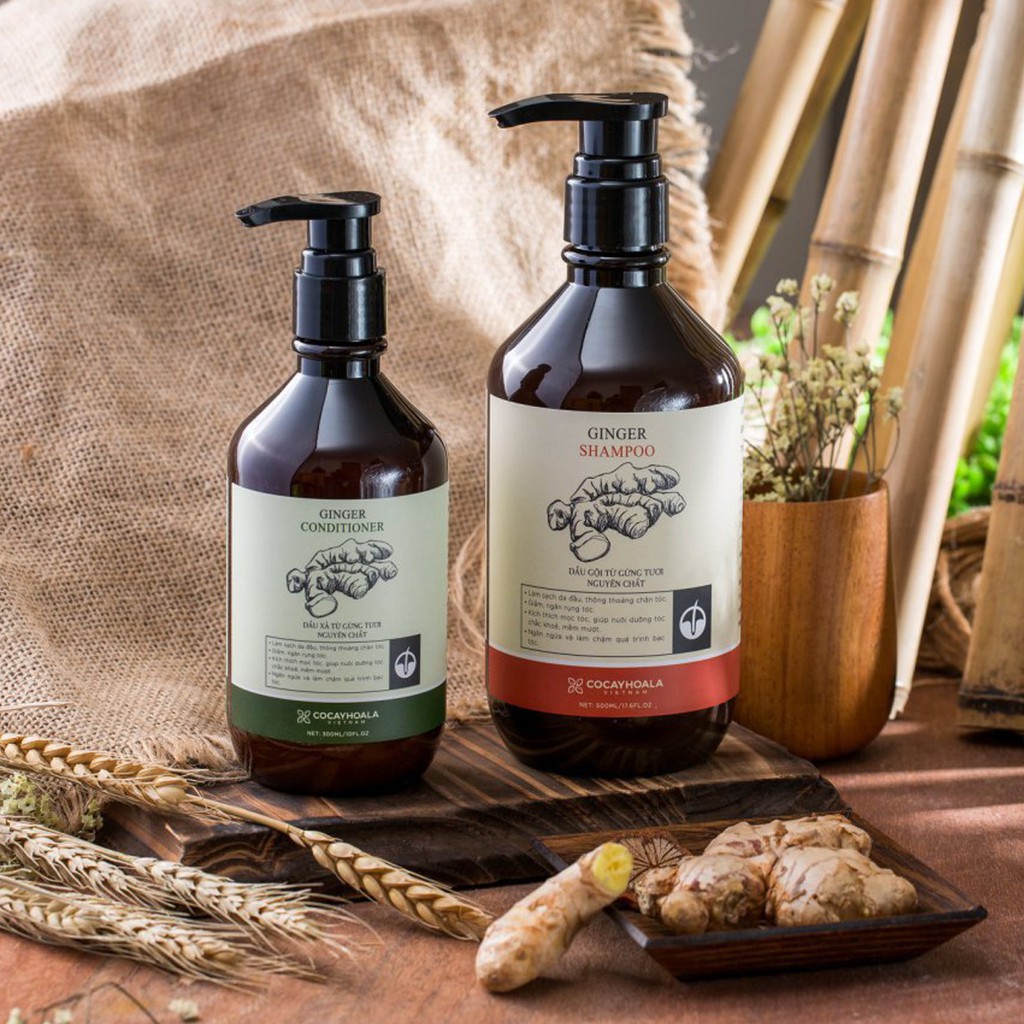 Bộ dầu gội-xả gừng tươi Cocayhoala kích thích mọc tóc 500ml | BigBuy360 - bigbuy360.vn