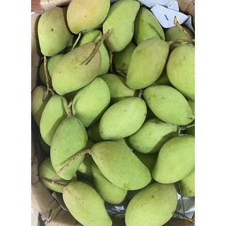 Xoài Bao Tử - Xoài non(Xoài Ghép Đăk Nông và Xoài bao tử đài loan   ) 1kg SHIP HOẢ TỐC 30’ NHẬN NGAY Ạ