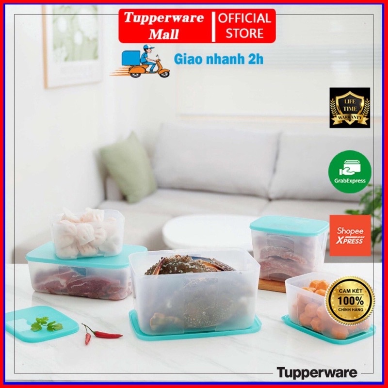 Set hộp đông Panadise