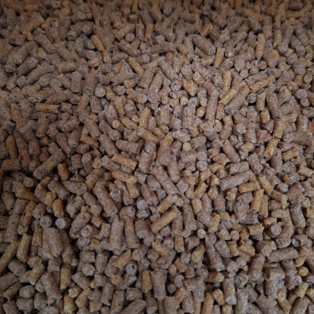 Cám con cò C24 dùng cho gà đẻ siêu trứng (5kg)